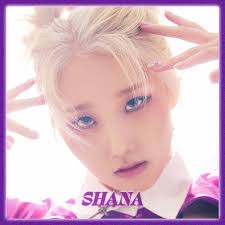 LAPILLUS Members Profile (Updated!)