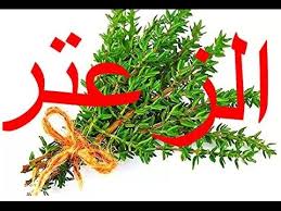 شاهدوا ماذا قال رسول الله ص عن الزعتر وفوائده الكثيرة Thyme Youtube Health