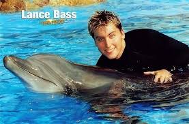 The This Dolphin Is Probably Cuter Than Me Nsync Bass My Childhood Memories