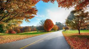 27 Beautiful Nature Full Hd 1080p Wallpaper Basty Wallpaper In 2020 Scenery Wallpaper Landscape Wallpaper Autumn Landscape