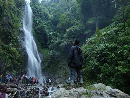 Curug bandung loji di karawang , dan di bawahnya lagi ada curug peuteuy (atau sering disebut pete), curug cimata heulang, curug lisung dan curug jodo. Eksotisme Curug Cigentis Dari Kota Goyang Kompasiana Com