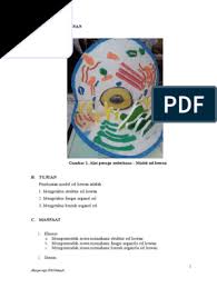 We did not find results for: 4300 Gambar Model Sel Hewan Dari Plastisin Gratis Gambar Hewan