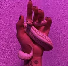 Hot pink is the second studio album by american singer and rapper doja cat.it was released on november 7, 2019, by kemosabe and rca records.a departure from the sound of her debut album amala (2018), hot pink is a pop and r&b record containing elements of funk, hip hop and soul. Neon Pink Cool Pink And Blue Backgrounds