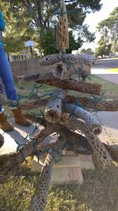It's now about 4.5 feet wide. Mesa Family Builds Phoenix Christmas Tree From Cactus Skeletons