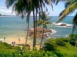 Resultado de imagem para ilhéus bahia
