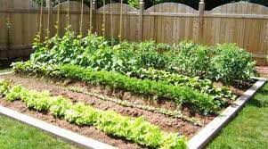 With these vegetable garden design ideas, you can get fresh harvests wherever you live. Simple Vegetable Garden Quotes Quotesgram