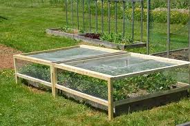 720 x 720 jpeg 98 кб. Diy Strawberry Cage The Garden