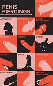 Genital Piercing Types That You Must Know - Body Art Guru