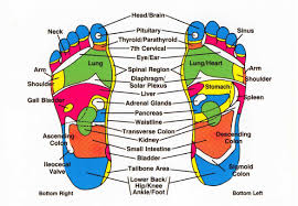 Reflexology For Ibs And Digestive Problems Magenta Therapy