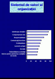 Realizarea planului de afaceri 3. Plan De Afaceri Sc Soft Srl Referat