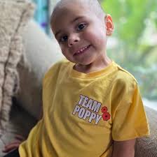 What information is available about this particular 45 caliber gun?