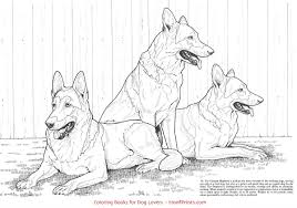 Favorite Dogs Coloring Book Www Hoofprints Com Dog Coloring Book Puppy Coloring Pages Dog Coloring Page