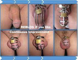 Chastity Penis Shrinkage Cumception