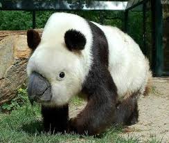 See more ideas about photoshopped animals, animals, funny animals. Imgur Com Photoshopped Animals Animal Mashups Weird Animals