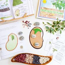 Lacy Home Education On Instagram We Have A Small Garden Spot But Last Year I Just Couldn T Get Anything Planted To B In 2020 Plant Science Homeschool Nature School