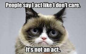 More And More About Some Things People And Situations Funny Grumpy Cat Memes Grumpy Cat Meme Funny Cat Memes