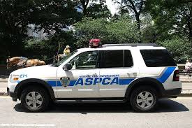 Aspca Humane Law Enforcement Car In Central Park New York City Old Police Cars Police Cars Law Enforcement