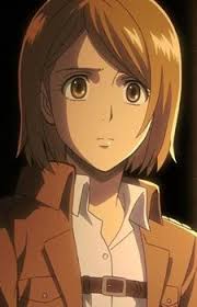 Pin On Shingeki No Kyojin