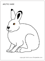 Polar bear crafts and arctic crafts, activities, and printables. Arctic Hare Arctic Animals Preschool Artic Animals Arctic Animals