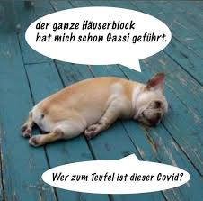 In Der Ruhe Liegt Die Kraft In 2020 Hund Witze Lustige Witze Bilder Lustige Spruche Bilder