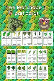 Maybe you would like to learn more about one of these? Pin On Leaves School Theme