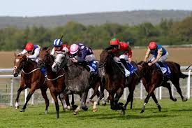 Trend Google: betfair odds