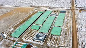 Territory would run from morgan, montana, to steele city, nebraska — a total of 875 miles. Work On Keystone Xl Pipeline Halted As Biden Revokes Permit Wfla