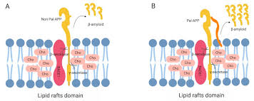 Although the game is not difficult, you will have to spend several hours before you find the game. Ijms Free Full Text Lipid And Lipid Raft Alteration In Aging And Neurodegenerative Diseases A Window For The Development Of New Biomarkers Html