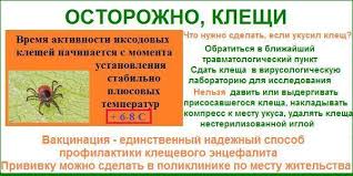 Chto Delat Esli Vas Ukusil Klesh Spb Gbuz Gorodskaya Poliklinika 76