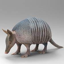 Dasypodidae Beast Animals 3d Model 3d Model Cartoon Jungle Animals Animal Projects Animal Sculptures