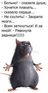 Идеи на тему «Прикольные картинки» (49) в 2025 г | смешные высказывания,  юмористические цитаты, веселые высказывания