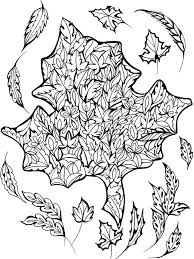 Four seasons worksheets for kindergarten summer season coloring. Pin On Color Me