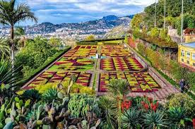 Madeira Tipps Urlaub Auf Der Portugiesischen Blumeninsel Urlaubsguru Madeira Tipps Tolle Reiseziele Madeira Urlaub