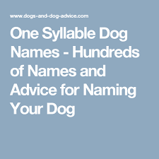 One Syllable Dog Names Hundreds Of Names And Advice For Naming Your Dog Dog Names Westie Dogs Girl Dog Names