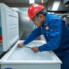 Blue Star Freezer Repair Technician