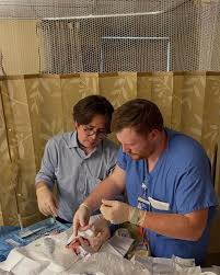 It's an Amanda Sando❤️🥪 #mmcgsresidency #crushingsurgery #residentlife  #acgme #nrmp2023