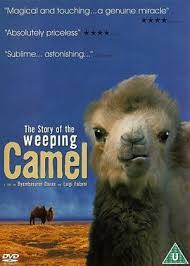 The story of the weeping camel (mongolian: The Story Of The Weeping Camel Alchetron The Free Social Encyclopedia