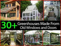 Maybe you would like to learn more about one of these? 30 Greenhouses Made From Old Windows And Doors Plus More