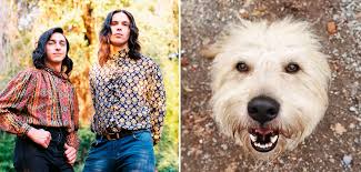 Abel y Camilo Zicavo lanzaron nuevo videoclip de 'Plumas': aparece Farkas,  perro de Denise Rosenthal