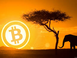 .from, exactly who is buying bitcoin in bulk and examine why they're so fascinated with this asset class. People Who Bought Bitcoin At 19 000 Were Foolish And Will Get Wiped Out Thestreet