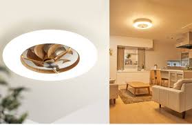 照明の内側にファンがある珍しいタイプ 低い天井でも圧迫感なしの薄さが魅力 インテリアアイデア ファンライト 低い天井