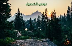 تبلغ مساحة الجمهورية التونسية 163,610 كم2. ØªÙˆÙ†Ø³ Ø§Ù„Ø®Ø¶Ø±Ø§Ø¡ Ø³Ø§ÙØ±