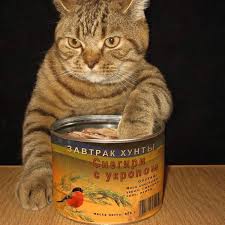 Винищувачі НАТО проведуть тренувальні польоти над Естонією на малій висоті - Цензор.НЕТ 3207