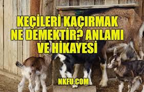 Kecileri Kacirmak Ne Demektir Deyiminin Anlami Hikayesi Ve Cumleler