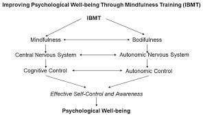 The diagram here shows the structure of the neuron and the mode of transmission of neural impulses between neurons. Frontiers Promoting Psychological Well Being Through An Evidence Based Mindfulness Training Program Human Neuroscience