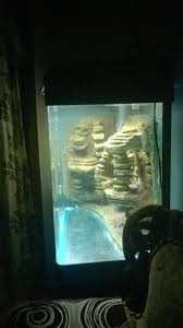 Jetzt im rewe onlineshop kaufen. Aquarium 3d Background With Cement And Thermocol Styrofoam 12 Steps With Pictures Instructables