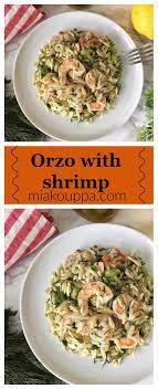Orzo With Shrimp Kri8araki Me Garides Recipe Vegan Quinoa Salad Healthy Crockpot Recipes Vegan Quinoa Salad Recipes