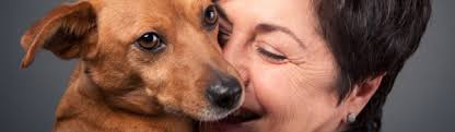 If there is a specific pet you are interested in, check our website before arriving to see if they are currently available. Animals Available For Adoption Ontario Spca And Humane Society