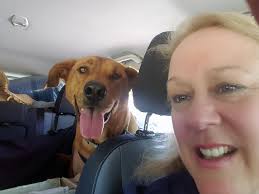 Dog Days of Summer: Paws for Our Associates 2018