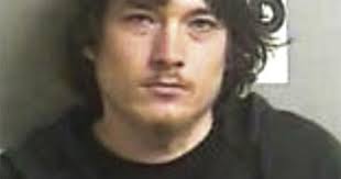 Task Force, police team for meth bust